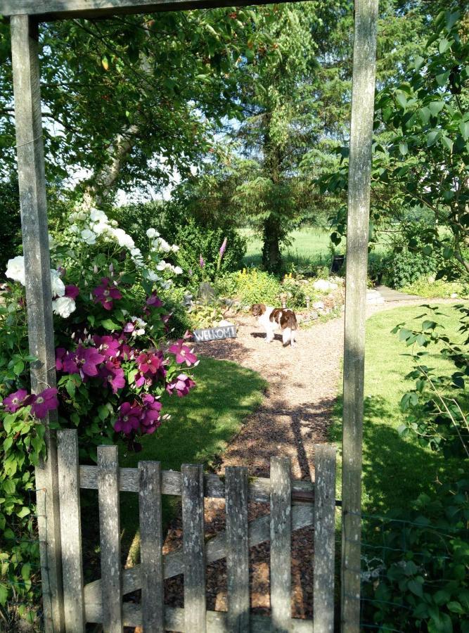 B&B Stateheide Noordbergum Eksteriør billede